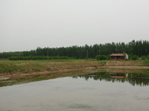 ���҈@�ԵĴ�ឈ@