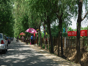 ���Ҳ�ժ,���˵Ę��@