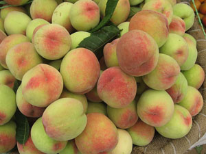 ���˵�����