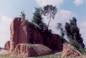 ����(gu��)�zַ�¶���