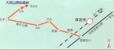 大茂山原始森林