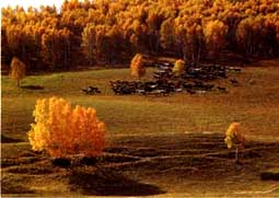 ľ�m�����ט���