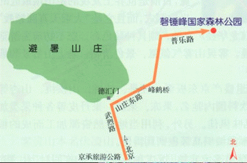 棒槌峰森林公園路線圖