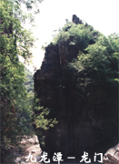 ����?zh��)?���T