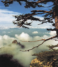 �F�`ɽ��Ȼ���o�^(q��)