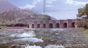 �����|���P(gu��n)�����T��