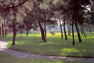 北戴河-避暑勝地