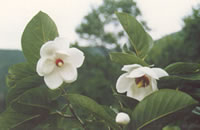 “幽燕第一山”祖山