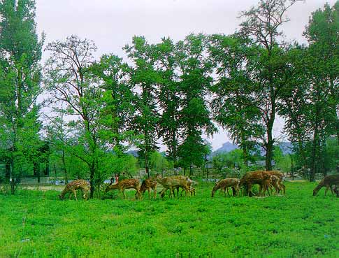 �f(w��n)��(sh��)�@