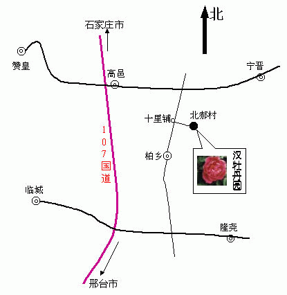 ���l(xi��ng)�hĵ���@·���D