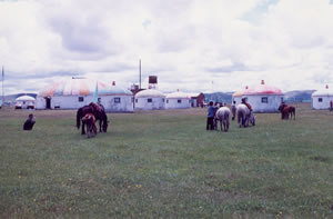 壩上明珠草原湖