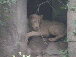 ���_(d��)�X�L(zh��ng)�ǰ׼Ҵ�Ժ