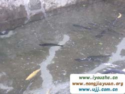 ��Ȫɽ����ម�(l��)�@