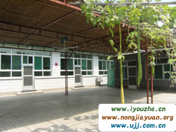 ������tɏ7̖(h��o)�r(n��ng)��Ժ