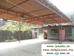 ������tɏ7̖(h��o)�r(n��ng)��Ժ