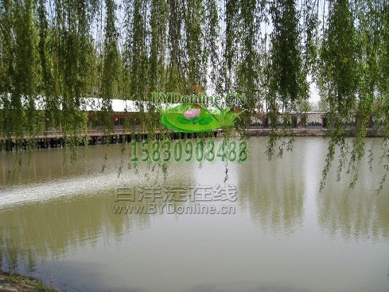 ˮ��ľ���r(n��ng)��Ժ�⾰