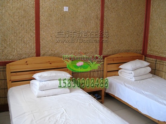 ������p��(bi��o)�g