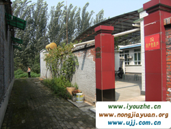 ���������15̖(h��o)�r(n��ng)��Ժ