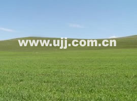 �����Ĳ�ԭ