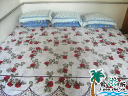 �����͗�28̖