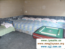 ����¸���(l��)��