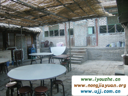 ����¸���(l��)��