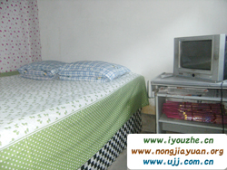 ����¸���(l��)��