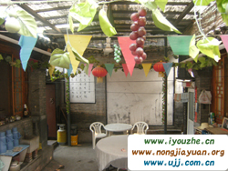 ����º�¸��͗�68̖