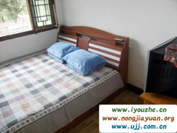 ����º�¸��͗�68̖