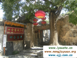 ������ĺϿ͗�9̖