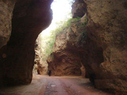 ������ĺϿ͗�9̖