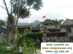 �������ɫ�n���͗�