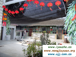 �ű��ں�����(sh��)���˼��r(n��ng)��Ժ