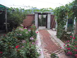 �ű�����һ�͗�