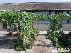 �ű�����һ�͗�