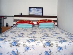 �ű�����һ�͗�