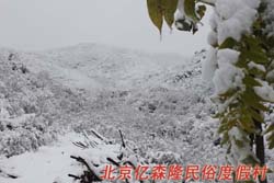 �����|ɭ¡���׶ȼٴ�