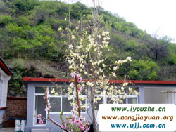 ���V�~һ�l�ϴ����r(n��ng)��Ժ