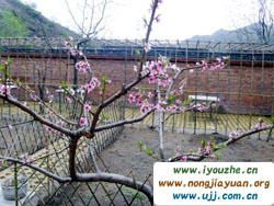 ���V�~һ�l�ϴ����r(n��ng)��Ժ