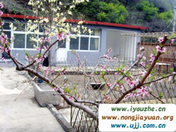 ���V�~һ�l�ϴ����r(n��ng)��Ժ