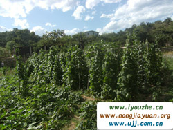 ���ȸ��ժ�^��@