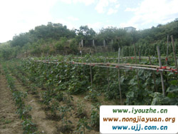 ���ȸ��ժ�^��@