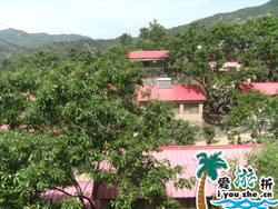 ���V�~һ�l��ɽ픰��r(n��ng)��Ժ