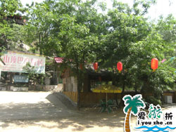 ���V�~һ�l��ɽ픰��r(n��ng)��Ժ