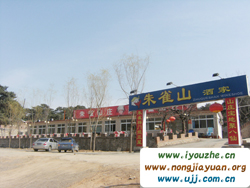 �t������ȸɽ�Ƽ�