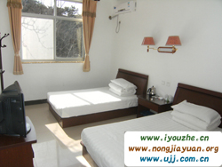 �t������ȸɽ�Ƽ�