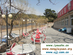 �t������ȸɽ�Ƽ�