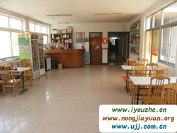 �t������ȸɽ�Ƽ�