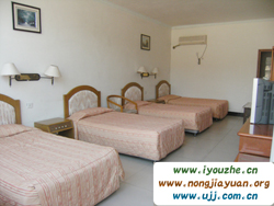 �t������ȸɽ�Ƽ�