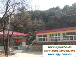 �t������ȸɽ�Ƽ�